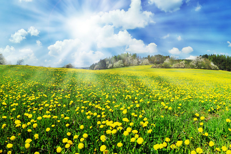 Если аллергию не лечить