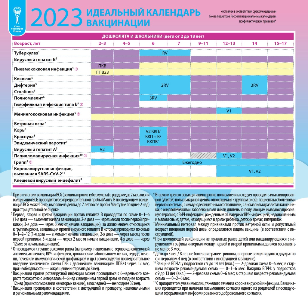 2023 Идеальный календарь вакцинации-2.jpg
