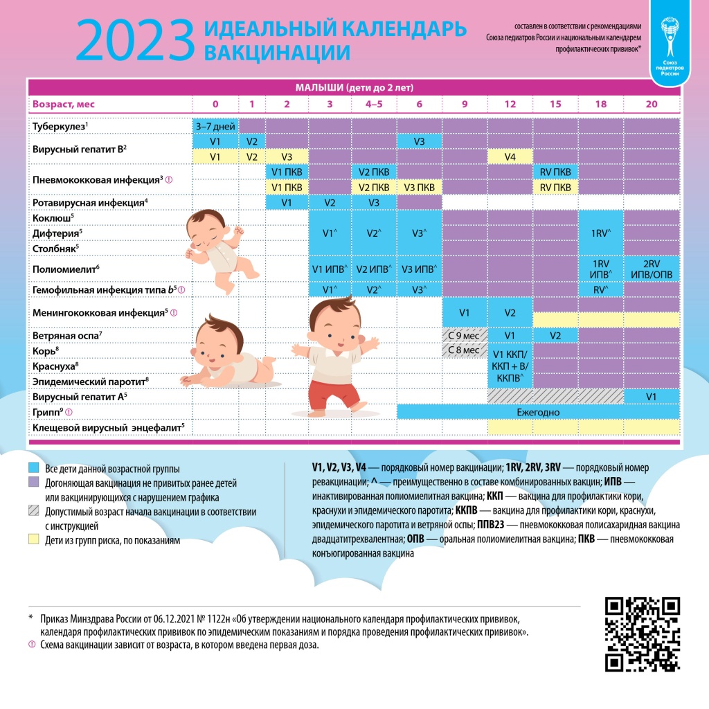 2023 Идеальный календарь вакцинации-1.jpg