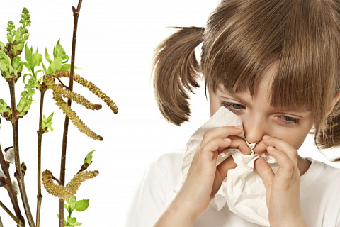 Мифы об аллергии