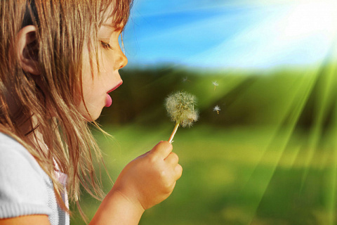 Аллергия по наследству